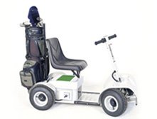 parmaker ride on golf buggies for sale
